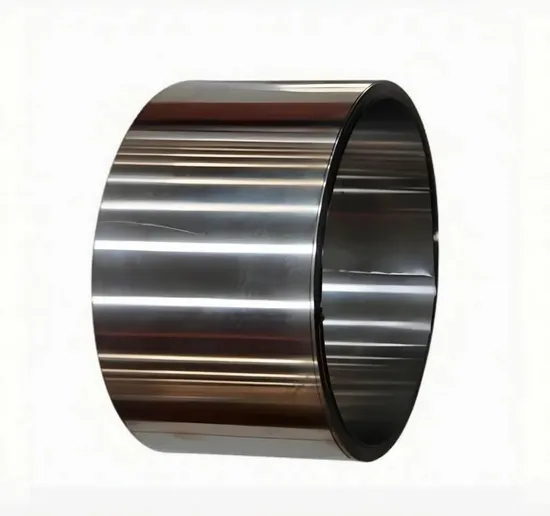 Salt - Placa resistente a Hastelloy C 276 para instalaciones costeras